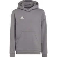 Adidas Sportief sweatshirt 'Entrada 22' grijs gemêleerd / wit