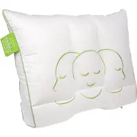 Silvana Hoofdkussen Silvana Support Larimar Extra Firm