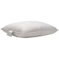 Eleganzzz Dons Hoofdkussen 15% Eendendons - 60x70cm