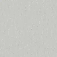 Dutch Wallcoverings - Little Kids- uni grijs - vliesbehang - 10m x 53cm - JR1211