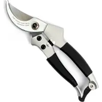 W-Selected Professionele Damessnoeischaar - Ideaal voor Kleine Handen - 22 cm - Zwart