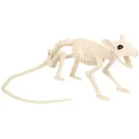 Boland Rat skelet deco | Halloween 18 cm (naturel)