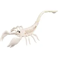 Boland - Decoratie Skelet schorpioen - Horror - Horror