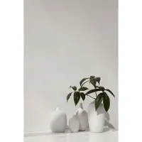 Blomus Vaas Ceola White 18 cm