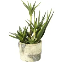 Parlane Kunst Succulent mix in sierpot - 19 x 19 x 43 cm