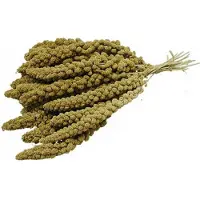 Vogro Trosgierst Chinees - 500 gram