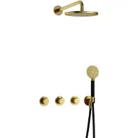 Hotbath Cobber IBS70 inbouwdouche met ronde handdouche geborsteld messing PVD