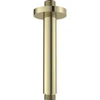 Regn Plafondarm Inkortbaar 7,5-16cm Geborsteld Goud PVD - Messing - Kranen, Douchekranen, Hoofddouche Houders - 8720297691966 - Kranen, Douchekranen, Hoofddouche houders