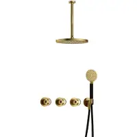 Hotbath Cobber@Work IBSW70 inbouwdouche met ronde handdouche, 30cm plafondbuis en 30cm hoofddouche geborsteld messing PVD