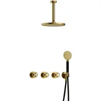 Hotbath Cobber@Work IBSW70 inbouwdouche met ronde handdouche en 15cm plafondbuis geborsteld messing PVD