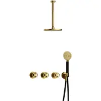 Hotbath Cobber@Work IBSW70 inbouwdouche met ronde handdouche en 30cm plafondbuis geborsteld messing PVD