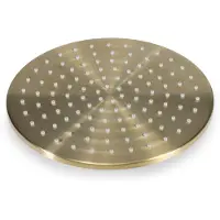 BLUE LABEL Brondby Hoofddouche 25cm - Geborsteld Goud PVD - Messing - Kranen, Douchekranen, Hoofddouches - 8711802074688 - Kranen, Douchekranen, Hoofddouches