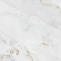 Roca Tegel 120 x 120 cm - Wit - Keramiek - Vierkant - 2 stuks - 2,86 m2 - Marmerlook - Wandtegels - Tegels - FOJ01E8011
