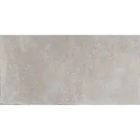 Flaviker Tegel 60 x 120 cm - Ash - Keramiek - Rechthoekig - 2 stuks - 1,44 m2 - Natuursteenlook - Wandtegels - Tegels - 0004832