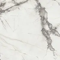 Flaviker Tegel 120 x 120 cm - Invisible Select - Keramiek - Vierkant - 2 stuks - 2,88 m2 - Marmerlook - Wandtegels - Tegels - 0005728