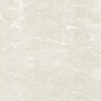 Colorker Tegel 90 x 90 cm - Bone - Porselein - Vierkant - 2 stuks - 1,62 m2 - Natuursteenlook - Wandtegels - Tegels - 220819