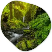 MuchoWow Organische wanddecoratie 90x90 cm - Organisch schilderij Prachtig plaatje jungle - Muurdecoratie woonkamer - Kamer decoratie - Schilderijen - Muurcirkel aesthetic