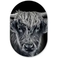MuchoWow Muurovaal 60x90 cm - Ovale wanddecoratie Schotse hooglander - Zwart - Koe - Dieren - Ovalen schilderij - Muurdecoratie woonkamer - Kamer decoratie - Schilderijen - Wandcirkel