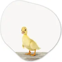 MuchoWow Organische wanddecoratie 90x90 cm - Organisch schilderij Eend - Kuiken - Dieren - Lief - Meisjes - Jongens - Kinderen - Muurdecoratie woonkamer - Kamer decoratie - Schilderijen - Muurcirkel aesthetic