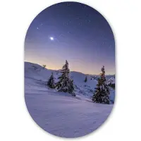 MuchoWow Muurovaal 60x90 cm - Ovale wanddecoratie Winter - Sneeuw - Nacht - Bomen - Ovalen schilderij - Muurdecoratie woonkamer - Kamer decoratie - Schilderijen - Wandcirkel - Kerstdecoratie in huis - Kerstmis
