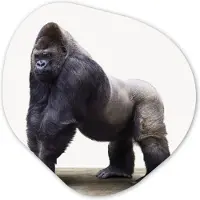 MuchoWow Organische wanddecoratie 90x90 cm - Organisch schilderij Gorilla - Dieren - Jongens - Meisjes - Kinderen - Muurdecoratie woonkamer - Kamer decoratie - Schilderijen - Muurcirkel aesthetic