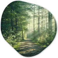 MuchoWow Organische wanddecoratie 40x40 cm - Organisch schilderij Bos - Pad - Zon - Bomen - Groen - Natuur - Muurdecoratie woonkamer - Kamer decoratie - Schilderijen - Muurcirkel aesthetic