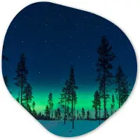MuchoWow Organische wanddecoratie 60x60 cm - Organisch schilderij Noorderlicht - Sneeuw - Bomen - Natuur - Groen - Muurdecoratie woonkamer - Kamer decoratie - Schilderijen - Muurcirkel aesthetic