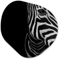MuchoWow Organische wanddecoratie 60x60 cm - Organisch schilderij Dieren - Zebra - Zwart - Wit - Muurdecoratie woonkamer - Kamer decoratie - Schilderijen - Muurcirkel aesthetic