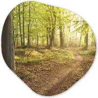 MuchoWow Organische Wanddecoratie - Kunststof Muurdecoratie- Organisch Schilderij - Bos - Pad - Zonsopgang- 90x90 cm - Organische spiegel vorm op kunststof