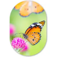MuchoWow Muurovaal 40x60 cm - Ovale wanddecoratie Insecten - Vlinders - Bloemen - Ovalen schilderij - Muurdecoratie woonkamer - Kamer decoratie - Schilderijen - Wandcirkel