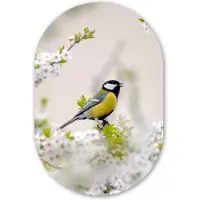 MuchoWow Muurovaal 80x120 cm - Ovale wanddecoratie Vogel - Koolmees - Bloemen - Bloesemboom - Ovalen schilderij - Muurdecoratie woonkamer - Kamer decoratie - Schilderijen - Wandcirkel