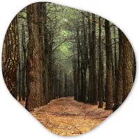MuchoWow Organische wanddecoratie 60x60 cm - Organisch schilderij Herfst - Landelijke decoratie - Bos - Muurdecoratie woonkamer - Kamer decoratie - Schilderijen - Muurcirkel aesthetic