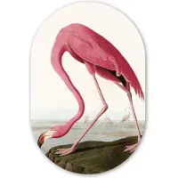 MuchoWow Muurovaal - Kunststof - Schilderij - Ovaal - Flamingo - Vintage - Vogel - Kunst - Wandovaal - Woondecoratie - 80x120 cm - Wanddecoratie ovaal - Muurdecoratie woonkamer