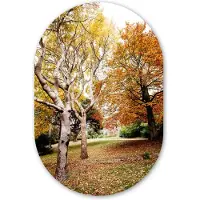 MuchoWow Muurovaal 80x120 cm - Ovale wanddecoratie Herfst - Bomen - Bladeren - natuur - Ovalen schilderij - Muurdecoratie woonkamer - Kamer decoratie - Schilderijen - Wandcirkel
