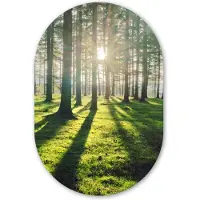 MuchoWow Muurovaal 40x60 cm - Ovale wanddecoratie Bomen - Natuur - Bos - Ovalen schilderij - Muurdecoratie woonkamer - Kamer decoratie - Schilderijen - Wandcirkel