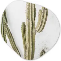 MuchoWow Organische wanddecoratie 90x90 cm - Organisch schilderij Cactus - Zomer - Planten - Muurdecoratie woonkamer - Kamer decoratie - Schilderijen - Muurcirkel aesthetic