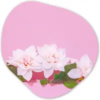 MuchoWow Organische wanddecoratie 90x90 cm - Organisch schilderij Bloesem - Zomer - Roze - Muurdecoratie woonkamer - Kamer decoratie - Schilderijen - Muurcirkel aesthetic