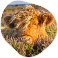 MuchoWow Organische wanddecoratie 40x40 cm - Organisch schilderij Schotse Hooglander - Heide - Gras - Dieren - Muurdecoratie woonkamer - Kamer decoratie - Schilderijen - Muurcirkel aesthetic