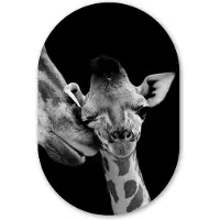 MuchoWow Muurovaal 40x60 cm - Ovale wanddecoratie Dieren - Zwart - Wit - Giraffe - Portret - Ovalen schilderij - Muurdecoratie woonkamer - Kamer decoratie - Schilderijen - Wandcirkel