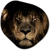 MuchoWow Organische wanddecoratie 90x90 cm - Organisch schilderij Leeuw - Dieren - Zwart - Portret - Muurdecoratie woonkamer - Kamer decoratie - Schilderijen - Muurcirkel aesthetic