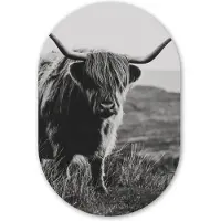 MuchoWow Muurovaal 60x90 cm - Ovale wanddecoratie Schotse hooglander - Natuur - Koeien - Dieren - Zwart wit - Ovalen schilderij - Muurdecoratie woonkamer - Kamer decoratie - Schilderijen - Wandcirkel