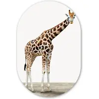 MuchoWow Muurovaal 40x60 cm - Ovale wanddecoratie Giraffe - Dieren - Witte achtergrond - Kinderen - Jongen - Meisje - Ovalen schilderij - Muurdecoratie woonkamer - Kamer decoratie - Schilderijen - Wandcirkel