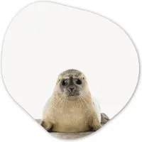 MuchoWow Organische wanddecoratie 40x40 cm - Organisch schilderij Zeehond - Dieren - Kind - Jongens - Meisjes - Kinderen - Muurdecoratie woonkamer - Kamer decoratie - Schilderijen - Muurcirkel aesthetic