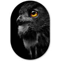 MuchoWow Muurovaal 40x60 cm - Ovale wanddecoratie Uil - Vogel - Zwart - Portret - Ovalen schilderij - Muurdecoratie woonkamer - Kamer decoratie - Schilderijen - Wandcirkel