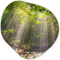 MuchoWow Organische wanddecoratie 40x40 cm - Organisch schilderij Zonnestralen door bladerdek - Muurdecoratie woonkamer - Kamer decoratie - Schilderijen - Muurcirkel aesthetic