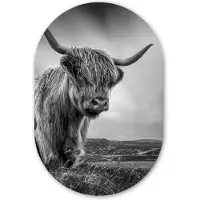 MuchoWow Muurovaal 40x60 cm - Ovale wanddecoratie Koeien - Schotse hooglander - Natuur - Dieren - Zwart wit - Ovalen schilderij - Muurdecoratie woonkamer - Kamer decoratie - Schilderijen - Wandcirkel