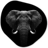MuchoWow Organische wanddecoratie 40x40 cm - Organisch schilderij Dieren - Olifant - Portret - Zwart - Wit - Muurdecoratie woonkamer - Kamer decoratie - Schilderijen - Muurcirkel aesthetic