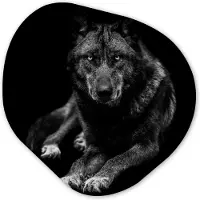 MuchoWow Organische wanddecoratie 60x60 cm - Organisch schilderij Dieren - Wolf - Zwart - Wit - Portret - Muurdecoratie woonkamer - Kamer decoratie - Schilderijen - Muurcirkel aesthetic