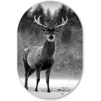 MuchoWow Muurovaal 60x90 cm - Ovale wanddecoratie Dieren - Hert - Winter - Zwart - Wit - Ovalen schilderij - Muurdecoratie woonkamer - Kamer decoratie - Schilderijen - Wandcirkel