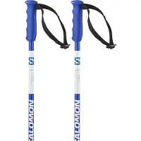 Salomon S/race Junior Stokken